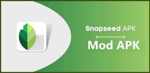 Snapseed Mod APK For Android